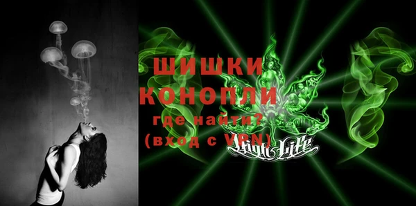 прущие грибы Лихославль