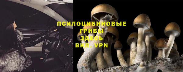 прущие грибы Лихославль