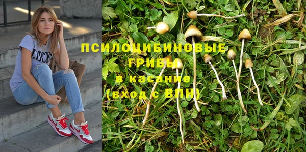 герыч Липки