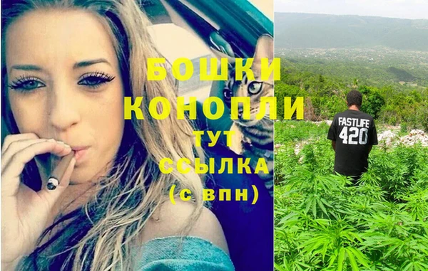 ECSTASY Лиски