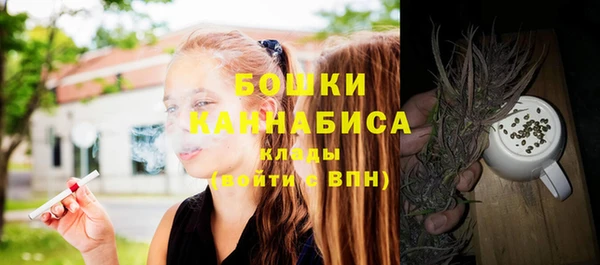 прущие грибы Лихославль