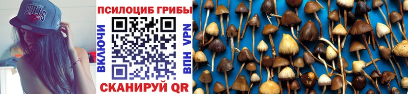 Псилоцибиновые грибы GOLDEN TEACHER  Звенигово 